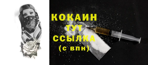 ешки Протвино