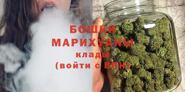 трава Аркадак