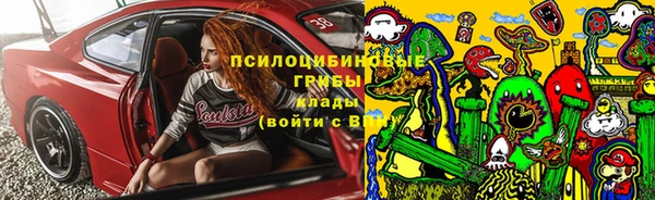 трава Аркадак