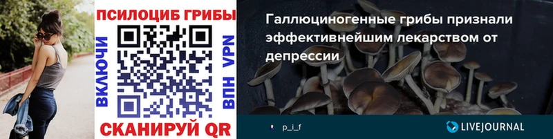 Псилоцибиновые грибы мицелий Грязи